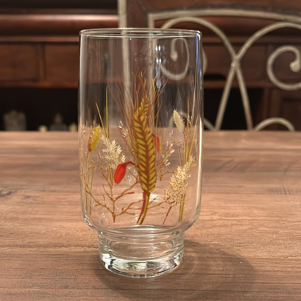 🔥🔥Set of 5 Vintage 70’s Glassware Wheat Enamel Design Farmhouse